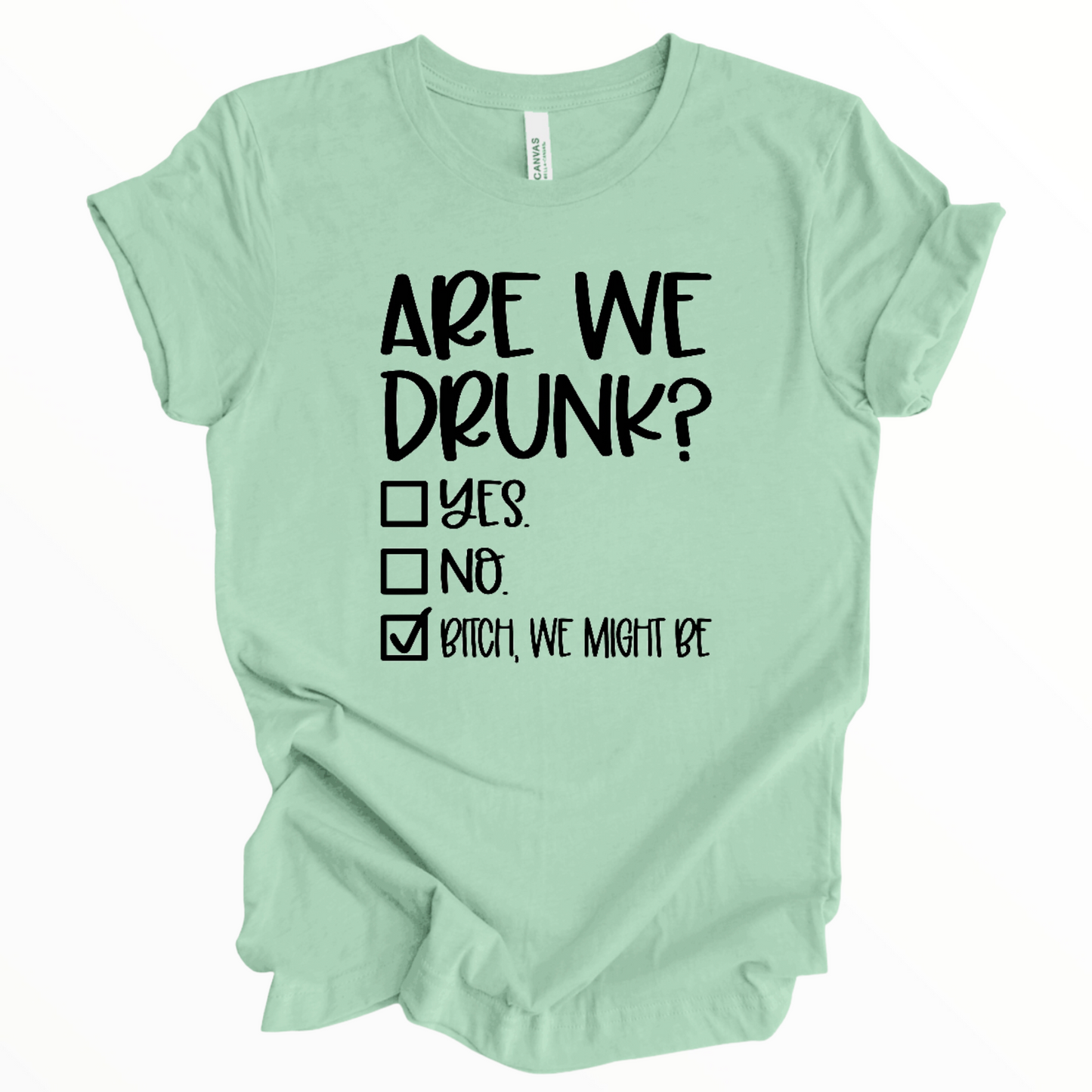 Are We Drunk Shirt, Girls Weekend Shirt, Humor Shirt